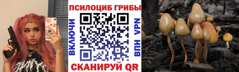 Галлюциногенные грибы MAGIC MUSHROOMS Купить закладки Ярославль